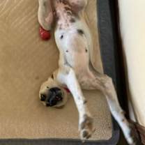 Thumbnail photo of Disney #2