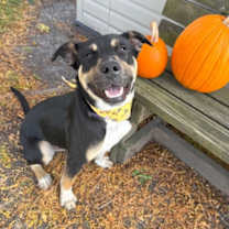 Thumbnail photo of Yannis #2