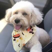 Thumbnail photo of Ariel #3