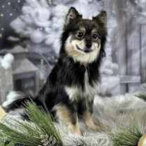 Thumbnail photo of Lady #2