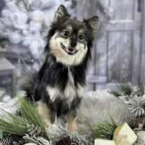 Thumbnail photo of Lady #3