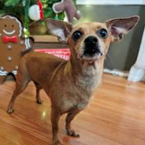 Thumbnail photo of BELLA #1