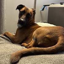 Thumbnail photo of Ruby #3