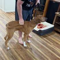 Thumbnail photo of Boots #4