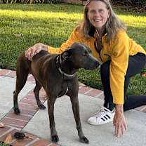 Thumbnail photo of Donner #1