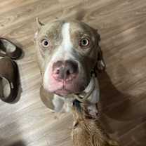 Thumbnail photo of Cairo #1