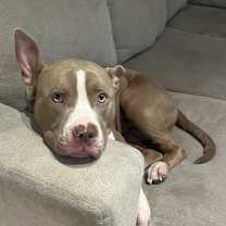 Thumbnail photo of Cairo #2