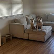 Thumbnail photo of Cairo #3