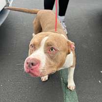 Thumbnail photo of Cairo #4