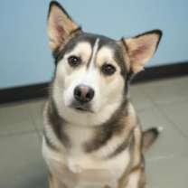 Thumbnail photo of Athena #1