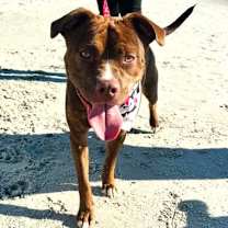 Thumbnail photo of Mila #1