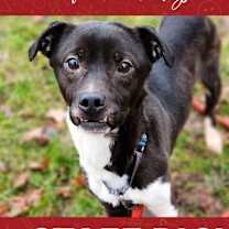 Thumbnail photo of Bucky #1