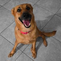 Thumbnail photo of Zuca #1