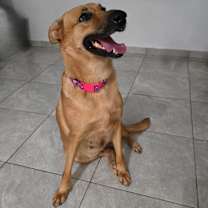 Thumbnail photo of Zuca #2