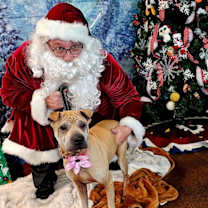 Thumbnail photo of Chloe Mei #1