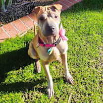 Thumbnail photo of Chloe Mei #3