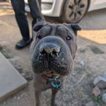 Thumbnail photo of Darlene #1