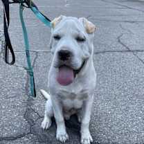 Thumbnail photo of Turbo #3