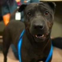 Thumbnail photo of Donette #2