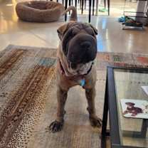 Thumbnail photo of Zyrie #3