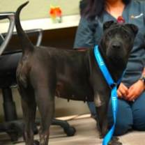 Thumbnail photo of Donette #1