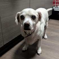 Thumbnail photo of Kristall #2