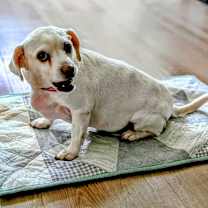 Thumbnail photo of Kristall #3