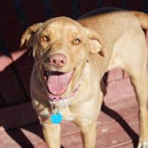 Thumbnail photo of Shirley #1