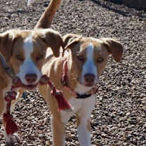 Thumbnail photo of Laverne #4