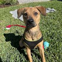 Thumbnail photo of Louise #1