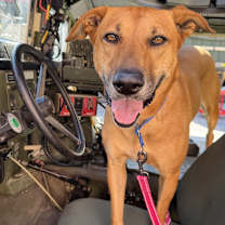 Thumbnail photo of Wednesday #1