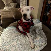 Thumbnail photo of Evita #1