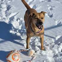 Thumbnail photo of Wednesday #4