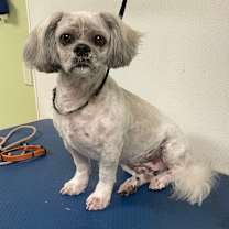 Thumbnail photo of Mario #2