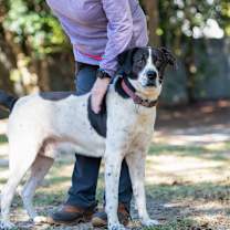 Thumbnail photo of Batman #3