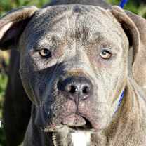 Thumbnail photo of Clyde #1