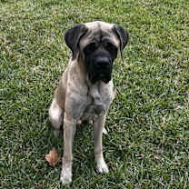 Thumbnail photo of Zeus #1