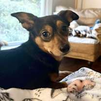 Thumbnail photo of Hammy #2