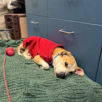 Thumbnail photo of Smithers #2