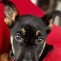 Thumbnail photo of Ethan #1