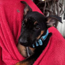 Thumbnail photo of Ethan #2