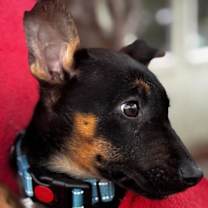 Thumbnail photo of Ethan #3