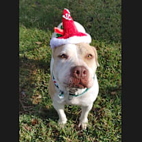 Thumbnail photo of Matilda #1