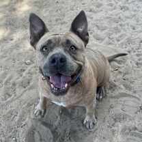 Thumbnail photo of Big Mama #1