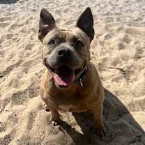 Thumbnail photo of Big Mama #2