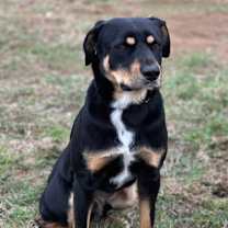 Thumbnail photo of Zeus #1