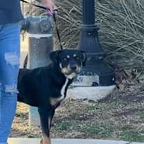 Thumbnail photo of Zeus #3