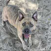 Thumbnail photo of Big Mama #4