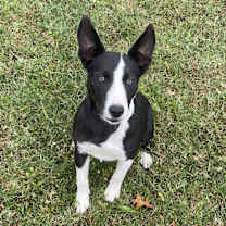 Thumbnail photo of Sheila #3