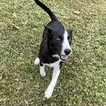 Thumbnail photo of Sheila #4